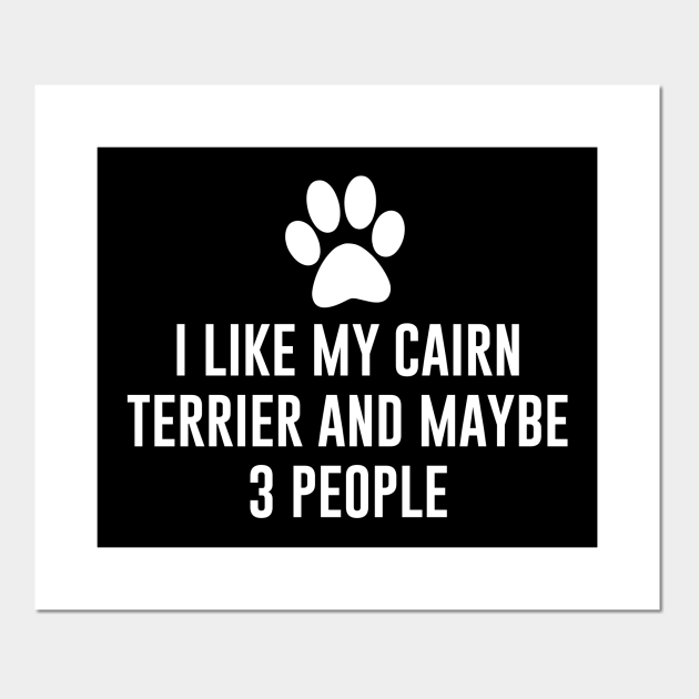 Funny Cairn Terrier